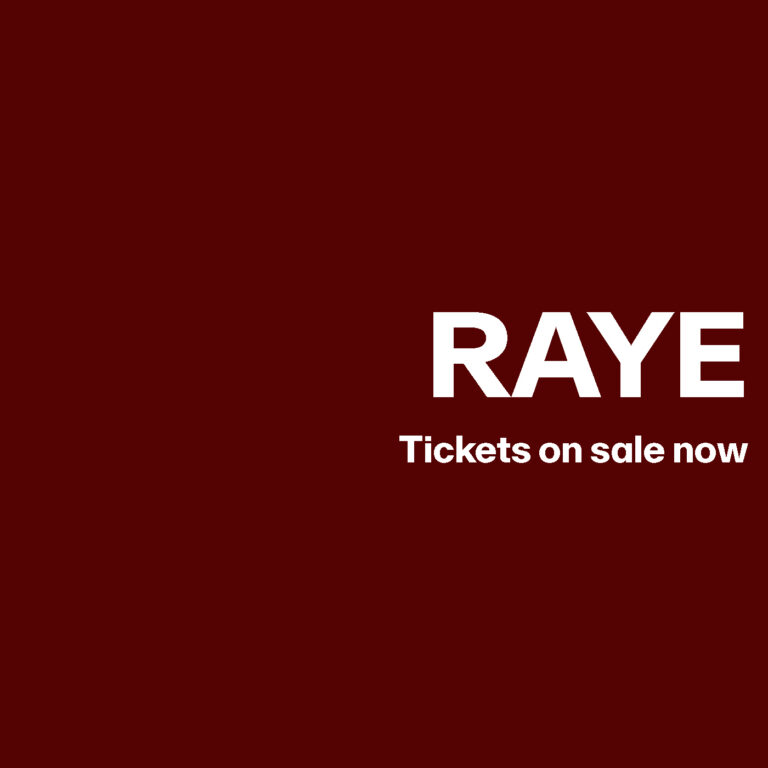 Raye website2